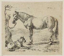 The Horse and the Dog