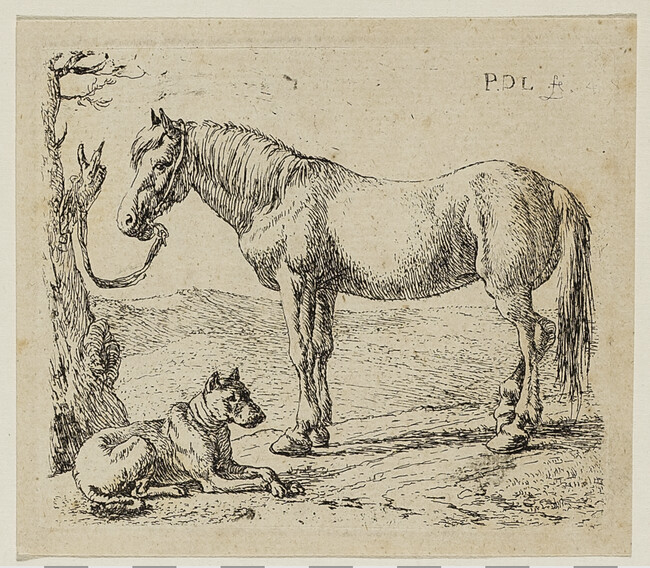 The Horse and the Dog