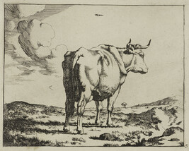 Standing Cow, Seen from the Rear