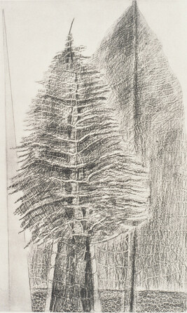 Le fascinant cypres (The Fascinating Cypress), number 17 of 34 from the portfolio Histoire Naturelle...