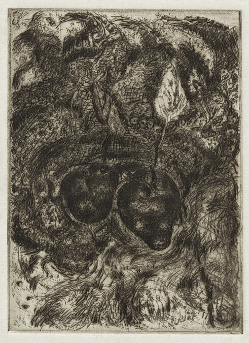 Untitled (Still Life with Apple and Pear)