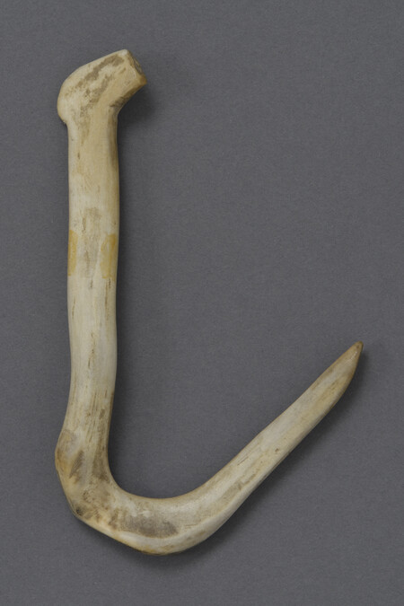 Curved Pick of an Antler (Mattock)