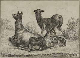 Three Deer, in the style of Stefano Della Bella's series Diversi animali (Various Animals)