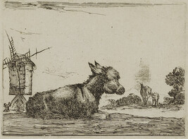 Donkey, Plate 11 from Agréable diversité de figures (Agreeable Diversity of Figures)