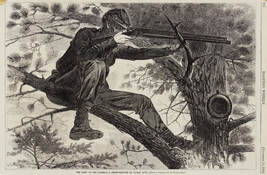 The Army of the Potomac - A Sharp Shooter on Picket Duty
