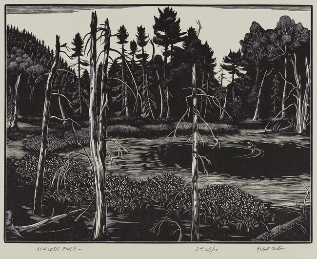 Atwoods Pond (The Sentinels; Evening Stillness)
