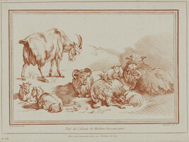 Chèvre, chevreaux et moutons (Goat, Kids and Sheep)