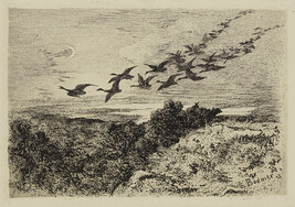 Wild Geese, from The Portfolio (1873)