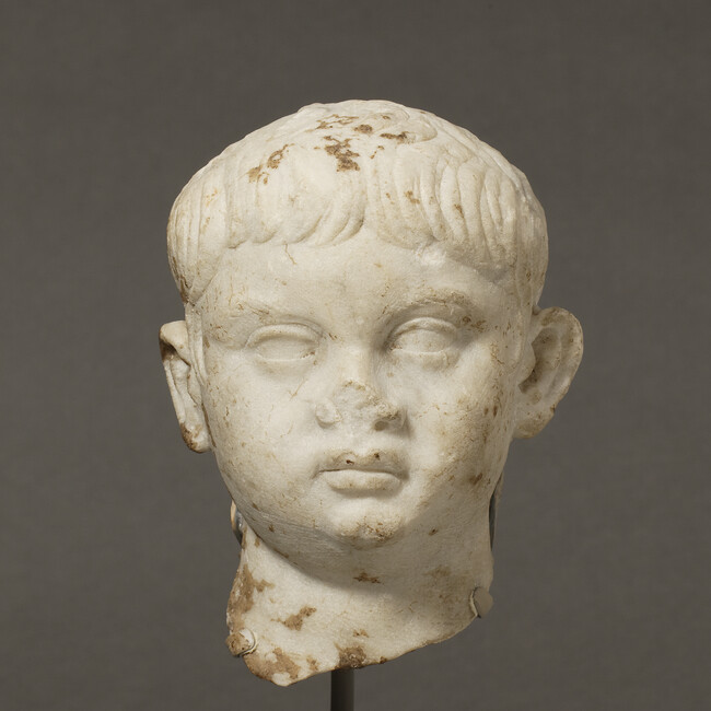 Portrait Head of a Young Boy