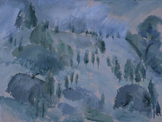 Young Cedars, Canaan