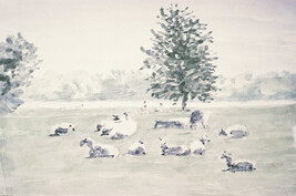 Untitled (Landscape with Sheep)