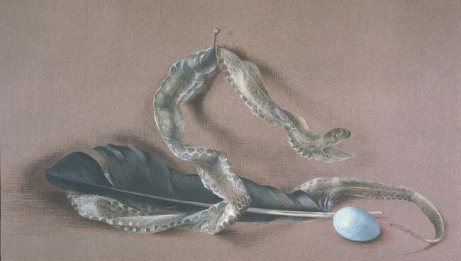 Still Life: Snake's Skin, Feather and Bird's Egg