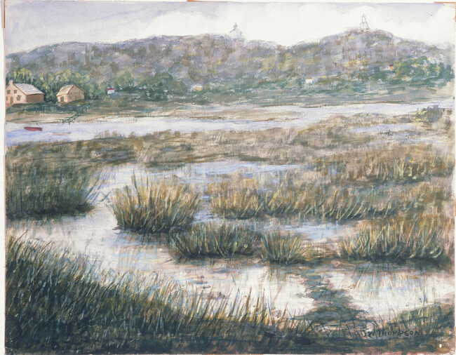 Marshland