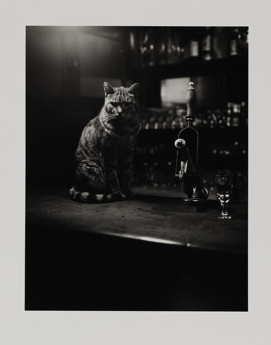 Alternate image #2 of Mulligan's Bar, Dublin