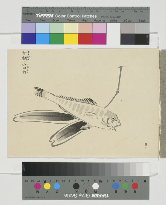 Alternate image #1 of Untitled (Fish), from Japanese Brush Ink Work, Series 1 - 16 (Booklet 