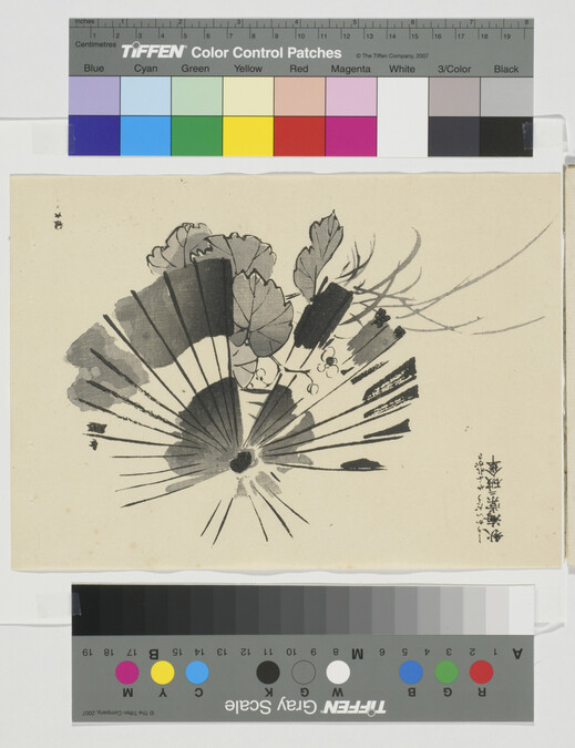 Alternate image #1 of Untitled (Fans and Leaves), from Japanese Brush Ink Work, Series 1 - 16 (Booklet 