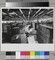 Alternate image #1 of Man working at his desk in IBM Factory, Mainz, West Germany
