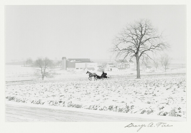 Alternate image #2 of Horse and Buggy