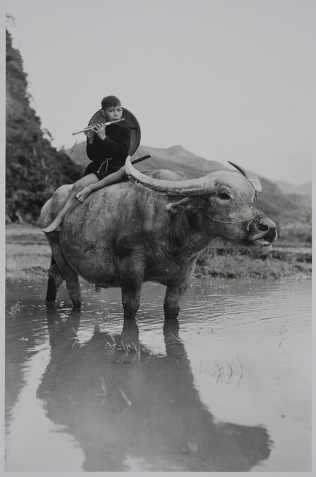 Alternate image #2 of Boy with flute atop water-buffalo, Vietnam