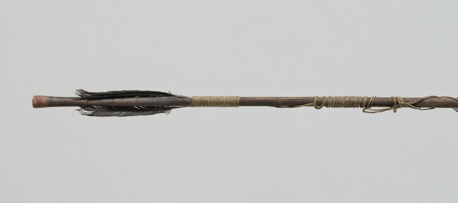 Alternate image #1 of Seal Dart (also called Spear) for throwing with a throwing board (atlatl)