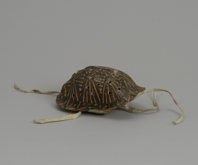 Alternate image #1 of [Restricted Object] Turtle Shell Rattle