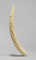 Alternate image #3 of Ivory Tusk Carved with Frieze of Figures