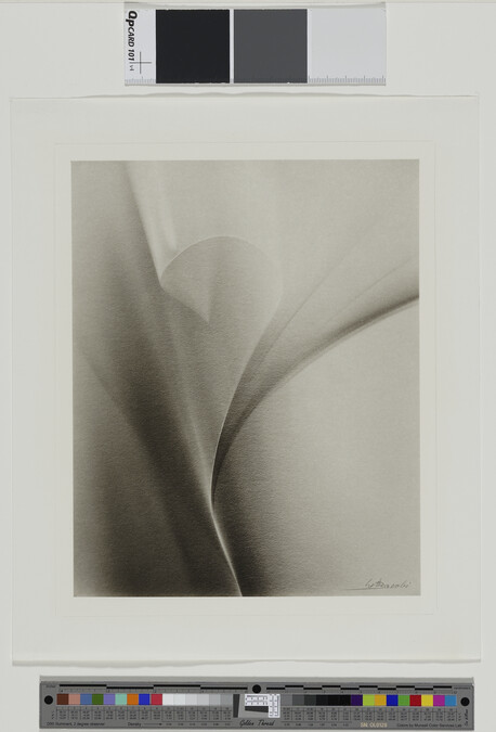 Alternate image #1 of Untitled; number one from the portfolio Lotte Jacobi Portfolio 3