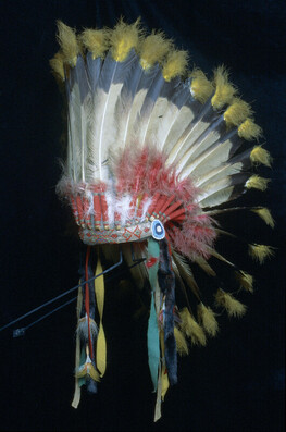 Feathered War Bonnet