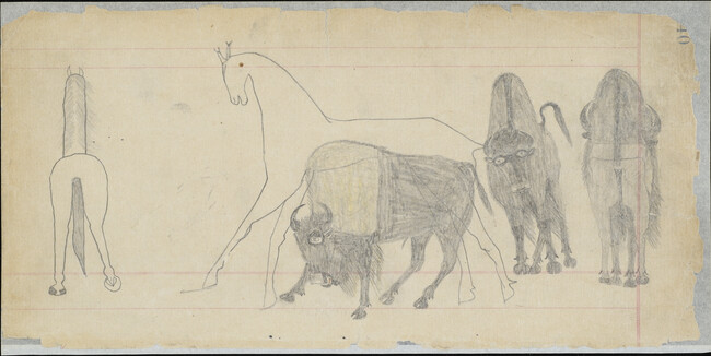 Alternate image #2 of Untitled (Horses and Buffalo), page number 240, from the 