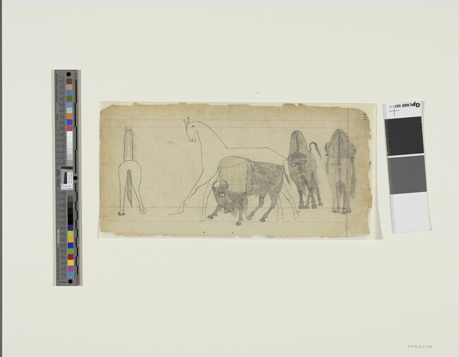 Alternate image #1 of Untitled (Horses and Buffalo), page number 240, from the 