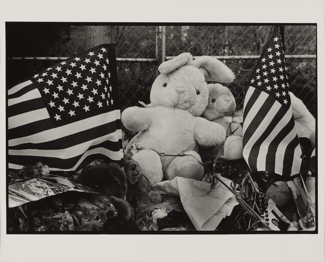 Alternate image #1 of Stuffed Animals and Flags, New York City