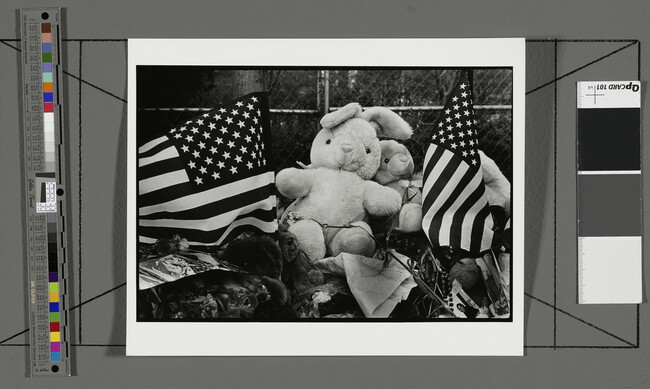 Alternate image #2 of Stuffed Animals and Flags, New York City