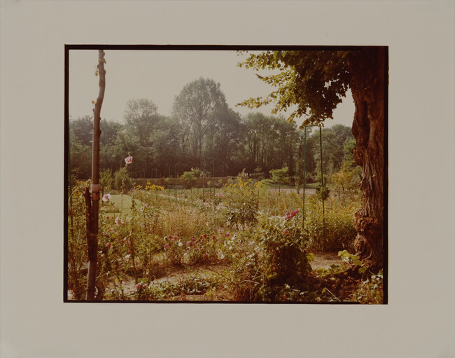 Alternate image #1 of Giverny: Trees and Green Trestles