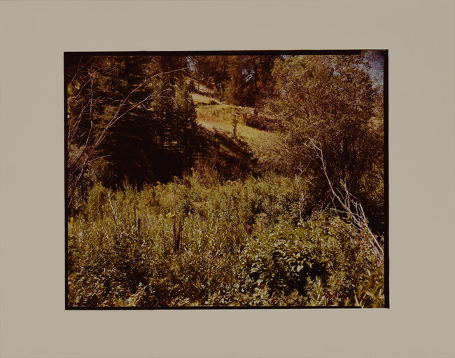 Alternate image #1 of Flat Creek, Jackson, Wyoming (pathway in shadow)