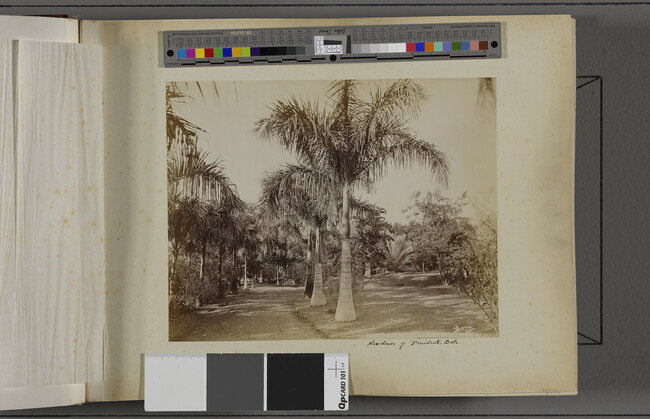 Alternate image #1 of Residence of Sanford B. Dole. O'ahu, Hawaii, from a Travel Photograph Album (Views of Hawaii and Japan)