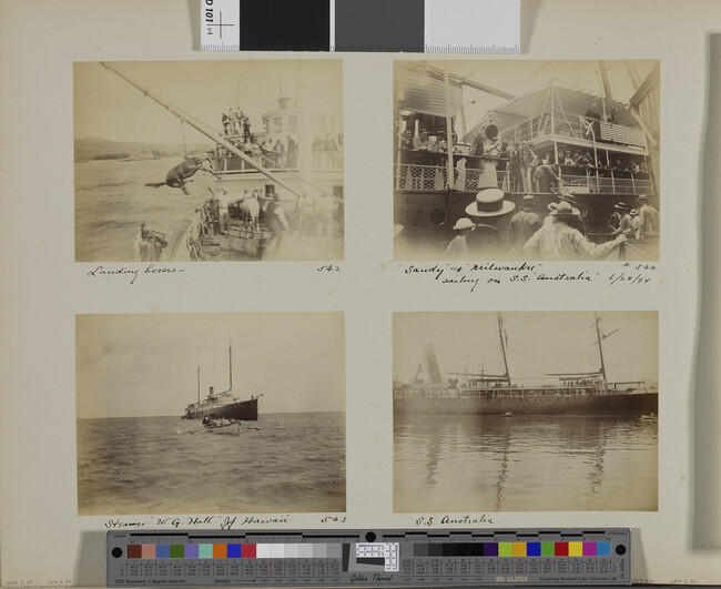 Alternate image #1 of Landing horses on a ship. Hawaii, from a Travel Photograph Album (Views of Hawaii and Japan)