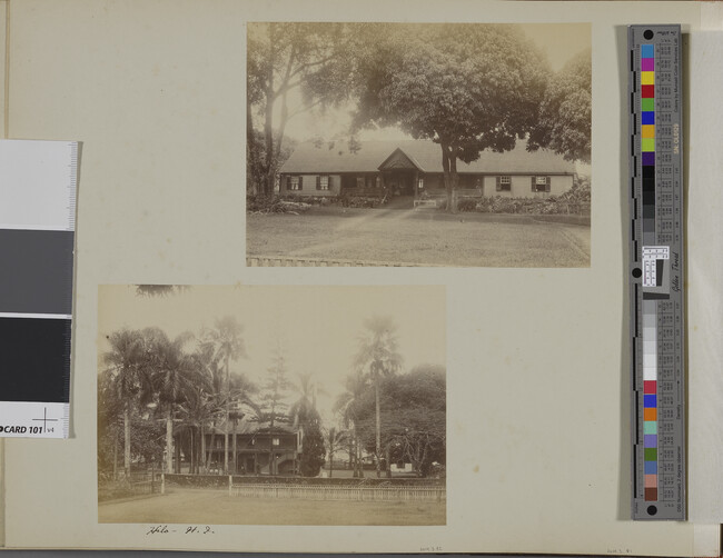 Alternate image #1 of Hilo, Hawaii (island), Hawaii, from a Travel Photograph Album (Views of Hawaii and Japan)