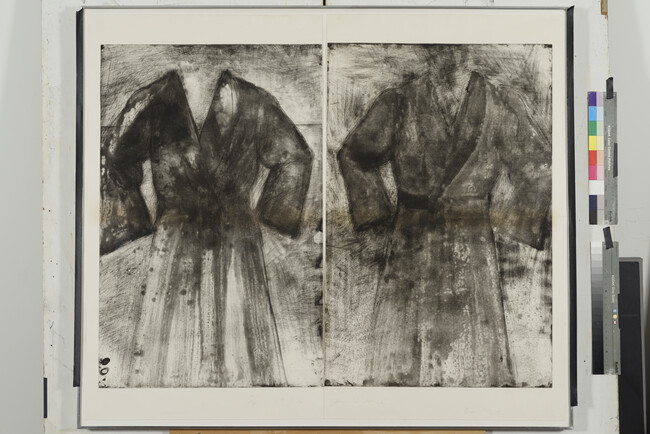 Alternate image #1 of Two Robes (ferns, acid and water) (Diptych)