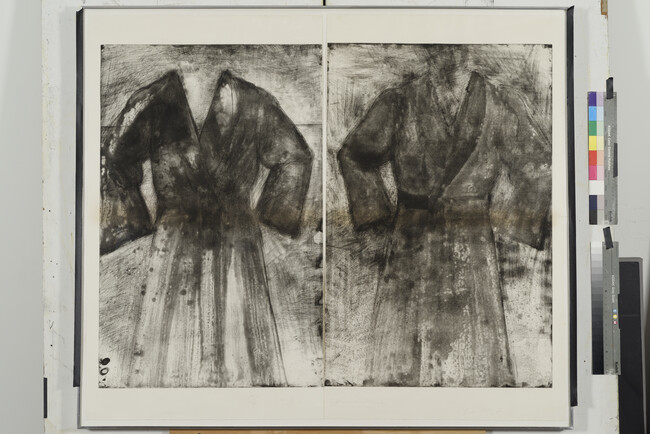Alternate image #2 of Two Robes (ferns, acid and water) (Diptych)