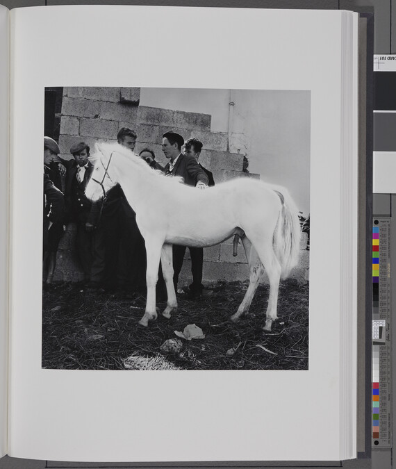 Alternate image #1 of Ballinasloe Horse Fair, Galway, 1965, from the book W. B. Yeats, Under the Influence