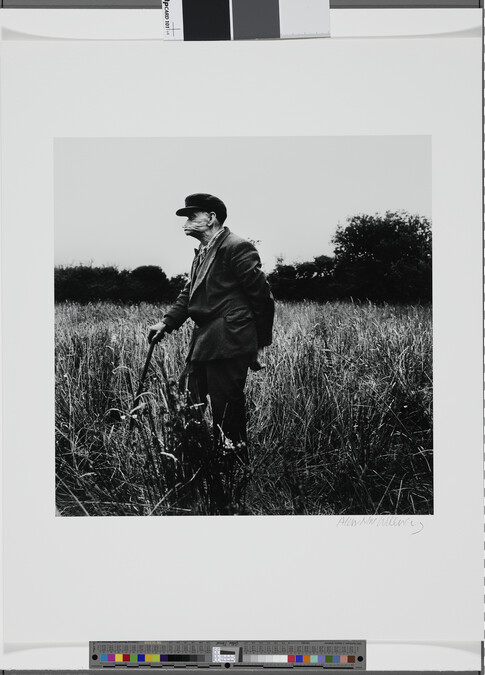 Alternate image #1 of Old Man in a Field, Sligo, 1965, number 11 of 14, from the portfolio, Under the Influence
