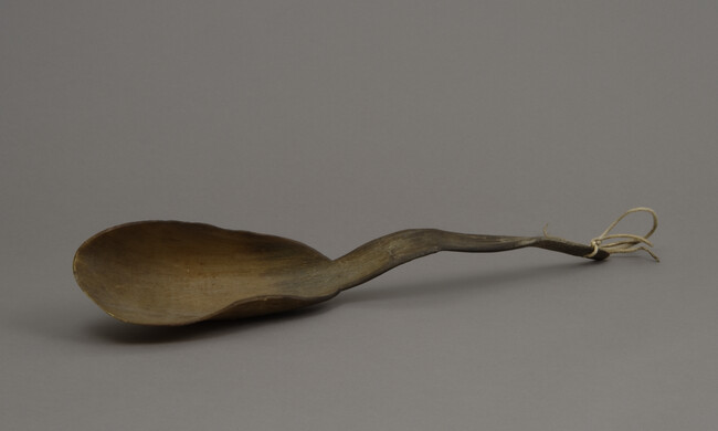 White Buffalo Horn Ladle