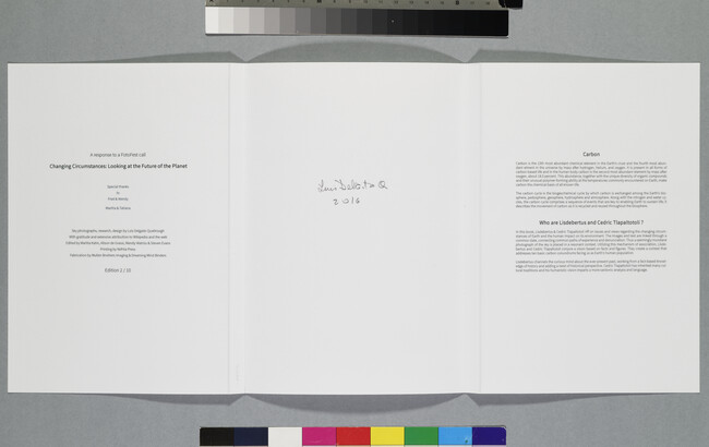 Alternate image #1 of Why Carbon, Title page, from the Artist's Book, 10 Carbon Conundrums