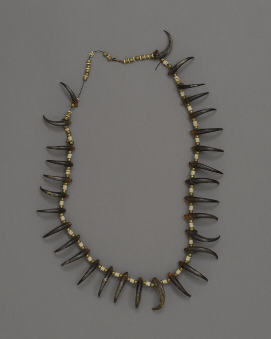 Eagle Claw Necklace