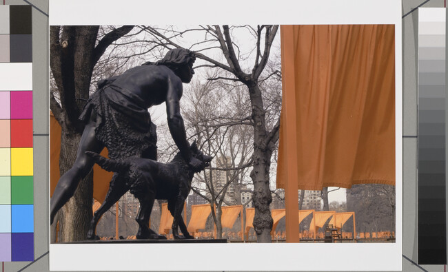 Alternate image #1 of Untitled, Jean Claude and Christo's Gates in Central Park, New York