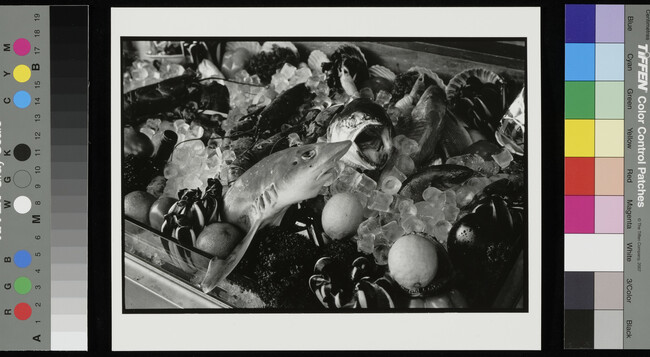Alternate image #1 of Fish and muscles on ice, Venice, Italy