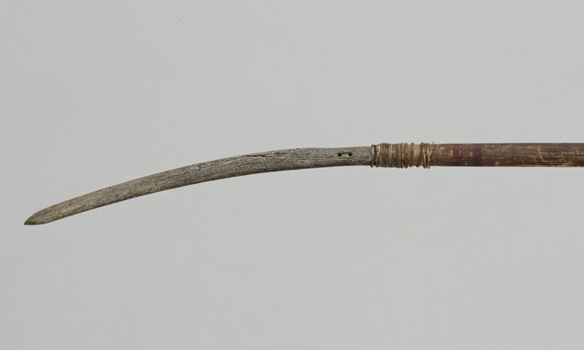 Alternate image #1 of Walrus Harpoon