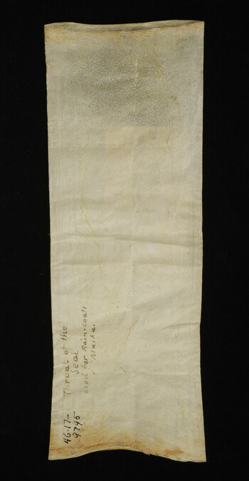 Alternate image #1 of Lining of a Seal's Throat used for Making Waterproof Garments