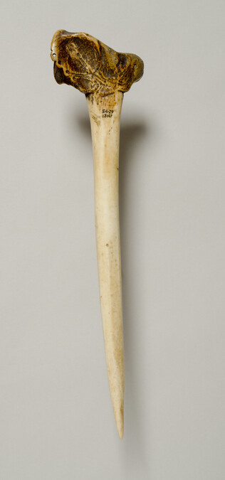 Alternate image #1 of Cassowary Bone Dagger