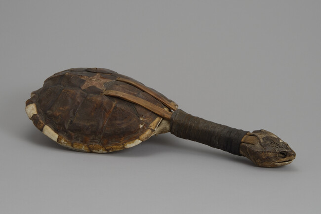 Alternate image #3 of (Restricted Object) Turtle Shell Rattle